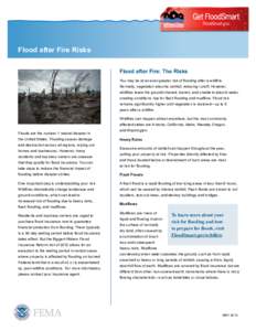 Get FloodSmart FloodSmart.gov Flood after Fire Risks Flood after Fire: The Risks You may be at an even greater risk of flooding after a wildfire.