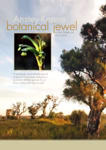 Anstey-Keane  botanical jewel by Rod Giblett and David James