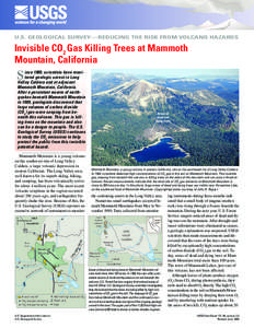 U.S. GEOLOGICAL SURVEY—REDUCING THE RISK FROM VOLCANO HAZARDS  Invisible CO2 Gas Killing Trees at Mammoth Mountain, California  S