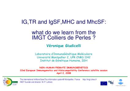 Microsoft PowerPoint - NHPimmunogenetics-Giudicelli.ppt