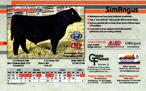 ■ Performance and fancy style, handmade to perfection. ■ Truly a “show bull look” with powerful EPD and Index Values. ■ Outcross potential with no Hooks Shear Force or Nichols Legacy in his pedigree. ■ A new,