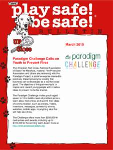 March[removed]Paradigm Challenge Calls on Youth to Prevent Fires The American Red Cross, National Association of State Fire Marshals, National Fire Protection
