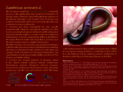Lumbricus terrestris L. The European Lumbricid, Lumbricus terrestris, commonly known as the nightcrawler, has invaded new locations of Europe such as Romania, spread through large expanses of the Russian Federation, and 