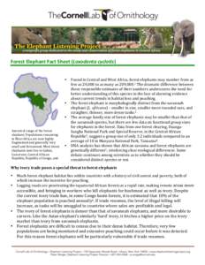   Forest Elephant Fact Sheet (Loxodonta cyclotis)      