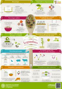 web-IYP-Pulses-Facts-infographic_es
