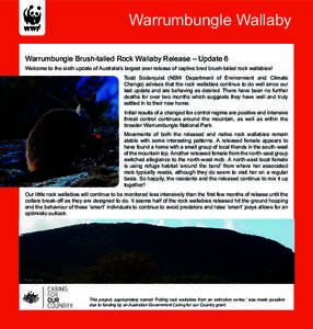 Warrumbungle Wallaby Warrumbungle Brush-tailed Rock Wallaby Release – Update 6 Welcome to the sixth update of Australia’s largest ever release of captive bred brush-tailed rock wallabies! Todd Soderquist (NSW Departm