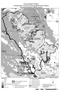 Uncompahgre Plateau Collaborative Forest Landscape Restoration Project Proposed Projects (NEPA-ready) MESA  Ced