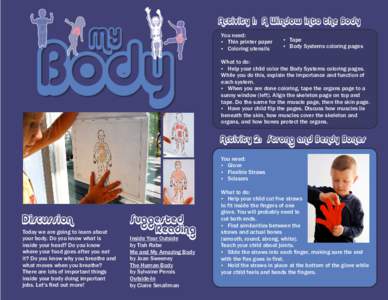MY  Body Activity 1: A Window into the Body You need: