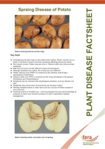 Tubers showing external necrotic rings  Key facts  Characterised by dark rings on the potato tuber surface. Brown necrotic arcs or  flecks in the flesh of tubers and foliar symptoms affecting leaves and stems