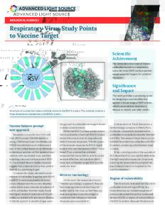 BIOLOGICAL SCIENCES  Respiratory Virus Study Points to Vaccine Target Scientific Achievement