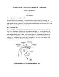 Microsoft Word - Pt guide partial cuff tears[removed]doc