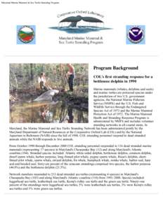 Maryland Marine Mammel & Sea Turtle Stranding Program