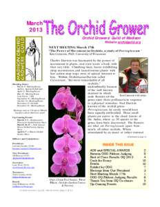 March 2013 Orchid Growers’ Guild of Madison Website orchidguild.org NEXT MEETING March 17th