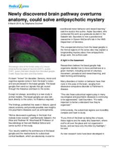 Newly discovered brain pathway overturns anatomy, could solve antipsychotic mystery