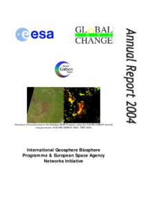 Detection of burned areas in the Kalahari IGBP Transect using the GLOBCARBON burned area processor. ©GLOBCARBON/ESA/VITO 2004 International Geosphere Biosphere Programme & European Space Agency Networks Initiative