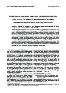 ACTA ICHTHYOLOGICA ET PISCATORIA[removed]): 241–248  DOI: [removed]AIP2014[removed]NEW RECORDS OF RARE MARINE FISHES FROM THE GULF OF MANNAR, INDIA