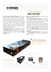 ENERGY & POWER NMC SYSTEM Forsee‘s Energy & Power NMC system contains high Energy & Power NMC system is composed of the