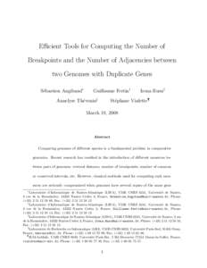 Efficient Tools for Computing the Number of Breakpoints and the Number of Adjacencies between two Genomes with Duplicate Genes S´ebastien Angibaud∗  Guillaume Fertin†