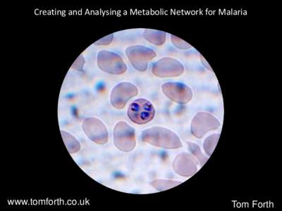 Creating and Analysing a Metabolic Network for Malaria  www.tomforth.co.uk Tom Forth