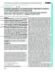 © 2017. Published by The Company of Biologists Ltd | Journal of Experimental Biology, doi:jebRESEARCH ARTICLE Divergent respiratory and cardiovascular responses to hypoxia in bar-he