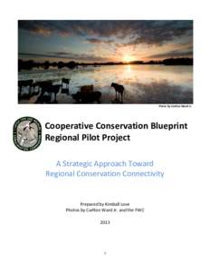 Photo by Carlton Ward Jr.  Cooperative Conservation Blueprint Regional Pilot Project A Strategic Approach Toward Regional Conservation Connectivity