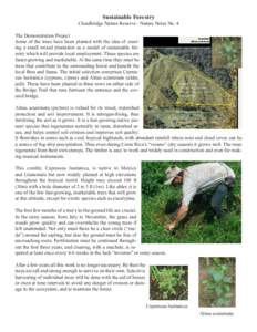 Sustainable Forestry  Cloudbridge Nature Reserve - Nature Notes No. 4 The Demonstration Project Some of the trees have been planted with the idea of creating a small mixed plantation as a model of sustainable forestry wh