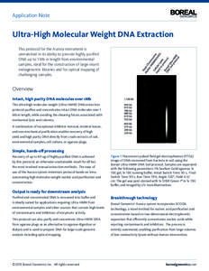 Application Note  Ultra-High Molecular Weight DNA Extraction This protocol for the Aurora instrument is unmatched in its ability to provide highly purified DNA up to 1 Mb in length from environmental