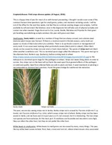 Cropland disease. Field crops disease update. (4 August, This is a happy time of year for most of us with harvest proceeding. I thought I would cover some of the common harvest-time questions I get for small grain