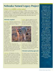 Nebraska_Wildlife Action Plan.indd