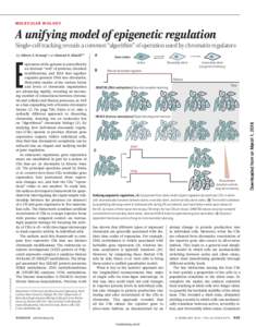 M O L E C U L A R B I O L O GY  A unifying model of epigenetic regulation Single-cell tracking reveals a common “algorithm” of operation used by chromatin regulators  ILLUSTRATION: P. HUEY/SCIENCE