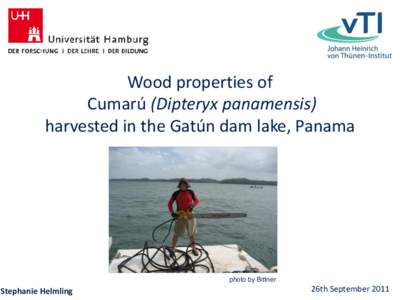 Wood properties of Cumarú (Dipteryx panamensis) harvested in the Gatún dam lake, Panama photo by Bittner