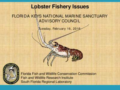 Lobster Fishery Issues FLORIDA KEYS NATIONAL MARINE SANCTUARY ADVISORY COUNCIL Tuesday, February 16, 2016  Florida Fish and Wildlife Conservation Commission