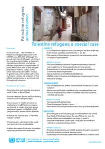 Palestine refugees in Lebanon: a special case