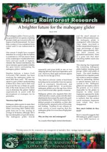 A brighter future for the mahogany glider March 1998 The mahogany glider, Petaurus gracilis, is a graceful but rare species of gliding possum which survives only in the wet