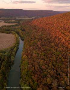 Aerial photo of the Paint Rock River Valley © The Nature ConservancyAlabama’s TREASURED Forests www.forestry.alabama.gov							 Fall/Winter 2017