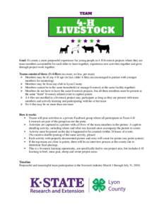 Goal: To create a more purposeful experience for young people in 4-H livestock projects where they are team members accountable for each other to learn together, experience new activities together and grow through projec