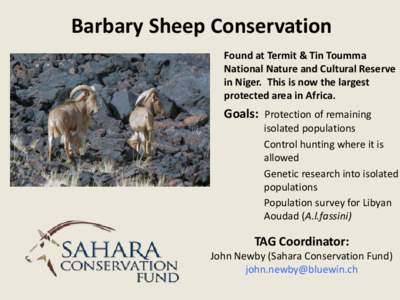 Barbary Sheep Conservation Found at Termit & Tin Toumma National Nature and Cultural Reserve in Niger. This is now the largest protected area in Africa.
