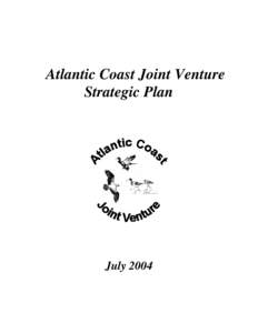 Atlantic Coast Joint Venture Strategic Plan July 2004  Table of Contents