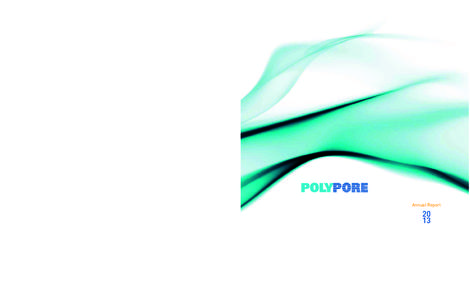 Polypore International, Inc. • Annual ReportPolypore International, IncN. Community House Road, Suite 350 Charlotte, North Carolina