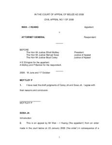 IN THE COURT OF APPEAL OF BELIZE AD 2008  CIVIL APPEAL NO 1 OF 2008  WAN – I HUANG  Appellant  v 