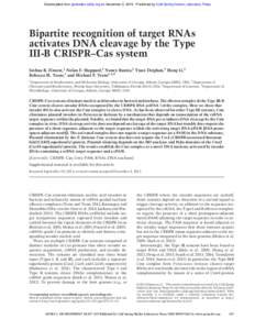 Bipartite recognition of target RNAs activates DNA cleavage by the Type III-B CRISPR–Cas system