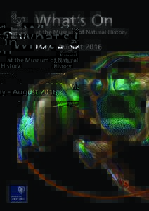 What’s On  at the Museum of Natural History May ­- August 2016