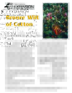 LBronze Wilt of Cotton Alois A. Bell, Robert L. Nichols, David Albers, Richard Baird,