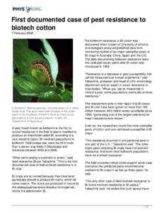 First documented case of pest resistance to biotech cotton