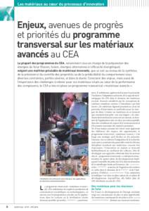Enjeux, avenues de progrès et priorités du programme transversal sur les  matériaux avancés au CEA