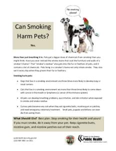     Can Smoking  Harm Pets?  Yes. 