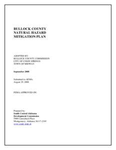 Microsoft Word - Bullock County HMP-8_29_08
