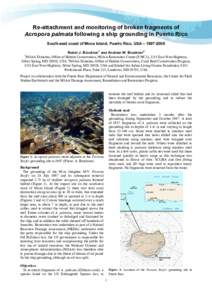 Re-attachment and monitoring of broken fragments of Acropora palmata following a ship grounding in Puerto Rico