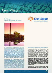 Enel Viesgo: Central Térmica de Puertollano