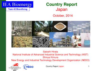 Country Report Japan October, 2014 Satoshi Hirata National Institute of Advanced Industrial Science and Technology (AIST)
